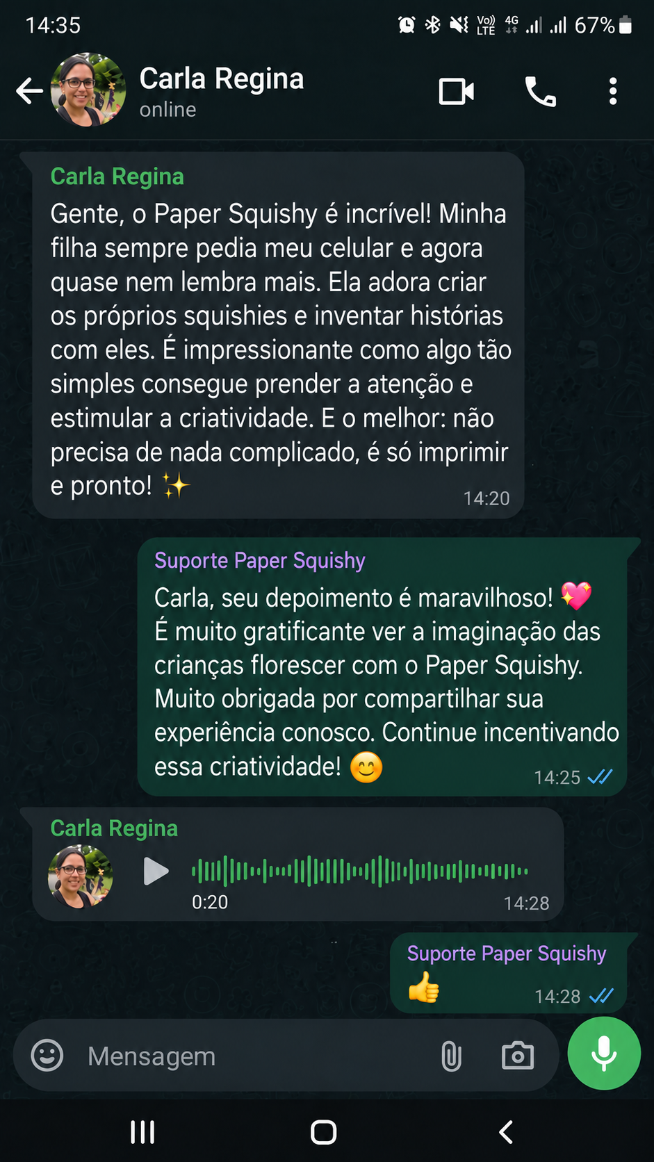 Depoimento de Carla Regina sobre o Paper Squishy